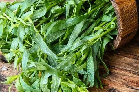 تصویر 5 از فروش ویژه سبزی ترخون خشک + ارسال سراسری